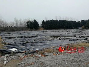 環(huán)保督查半年后回訪江蘇如皋污染地塊 土壤修復(fù)施工在即
