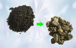 立昌環(huán)境 深耕生態(tài)修復(fù)領(lǐng)域的綠色先鋒