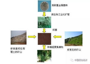 土壤修復(fù) 保護(hù)大地之基的長征